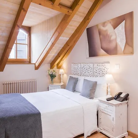 Communale De Carouge Hotel Carouge