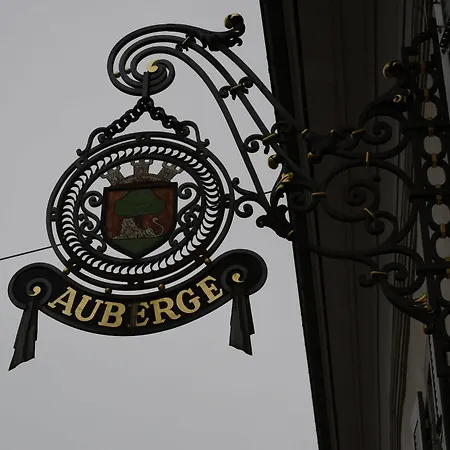 Hotel Communale De Carouge 2*